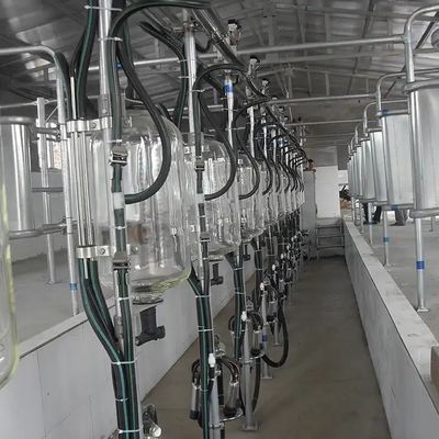 良い価格 牛やヤギの乳牛養殖場 牛やヤギの乳牛養殖場 牛乳流量計 De Laval オンライン
